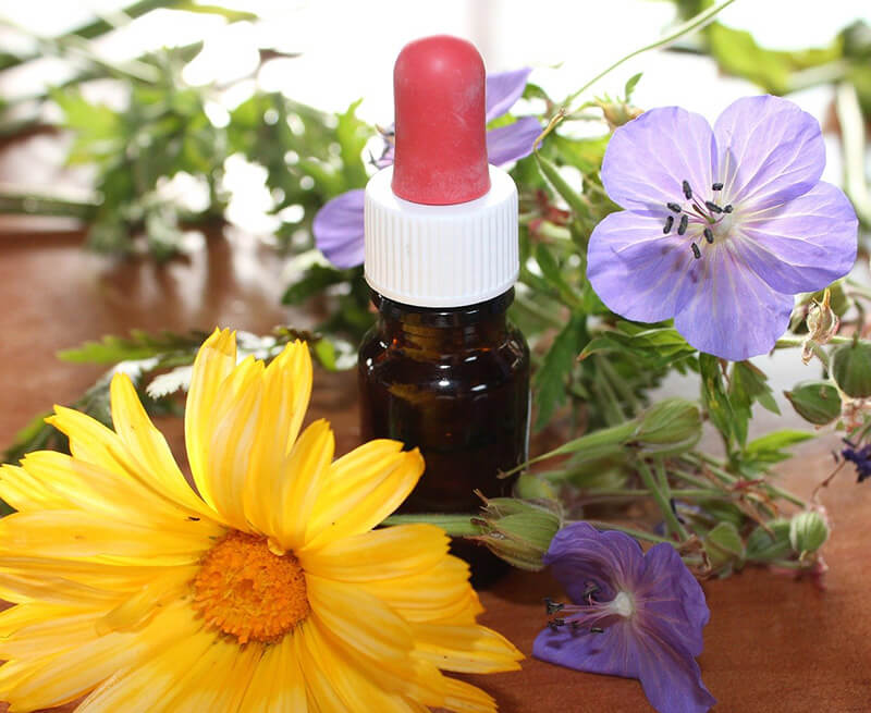 Homeopatia Homeopatia
